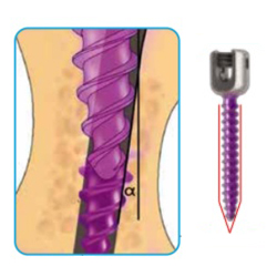 spine-2-dual-core-double-thread